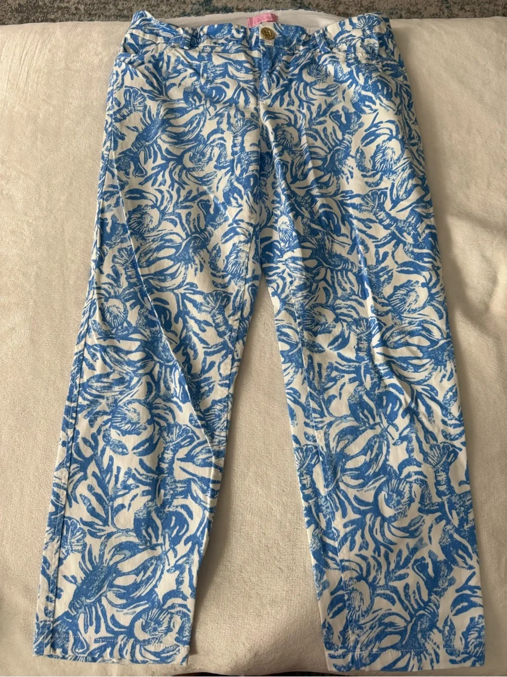Lilly Pulitzer Sadie Stretch Crop Chino pants in a blue and white Size 10 E01